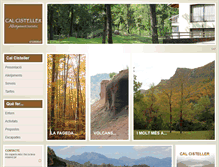 Tablet Screenshot of cisteller.com